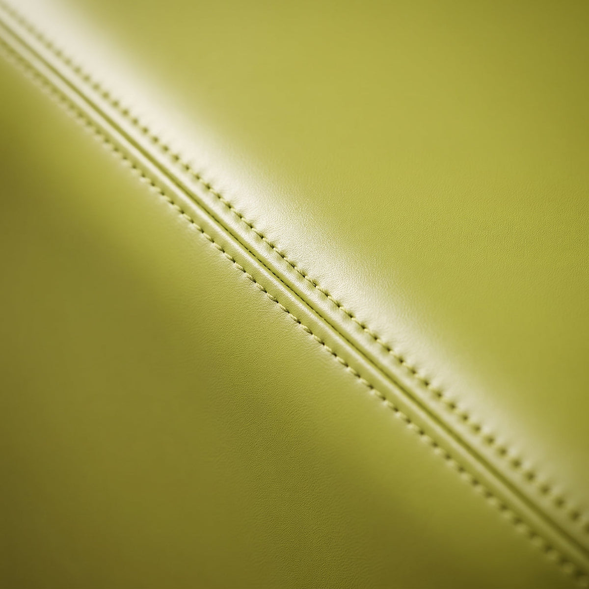 Pouf Coffre Cuir Vert